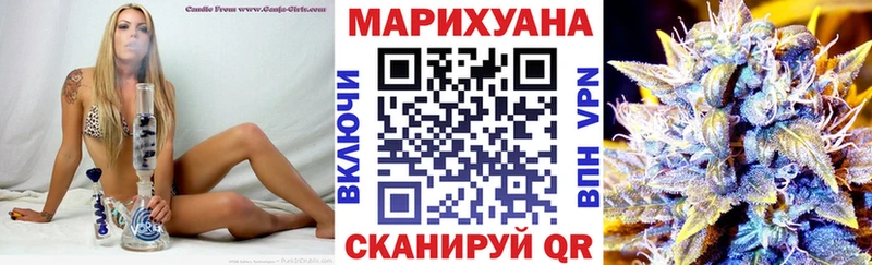 как найти наркотики  Сольцы  Конопля планчик 